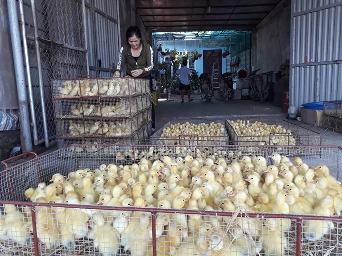 2-Day Hanoi Craft Villages Bicycle Tour